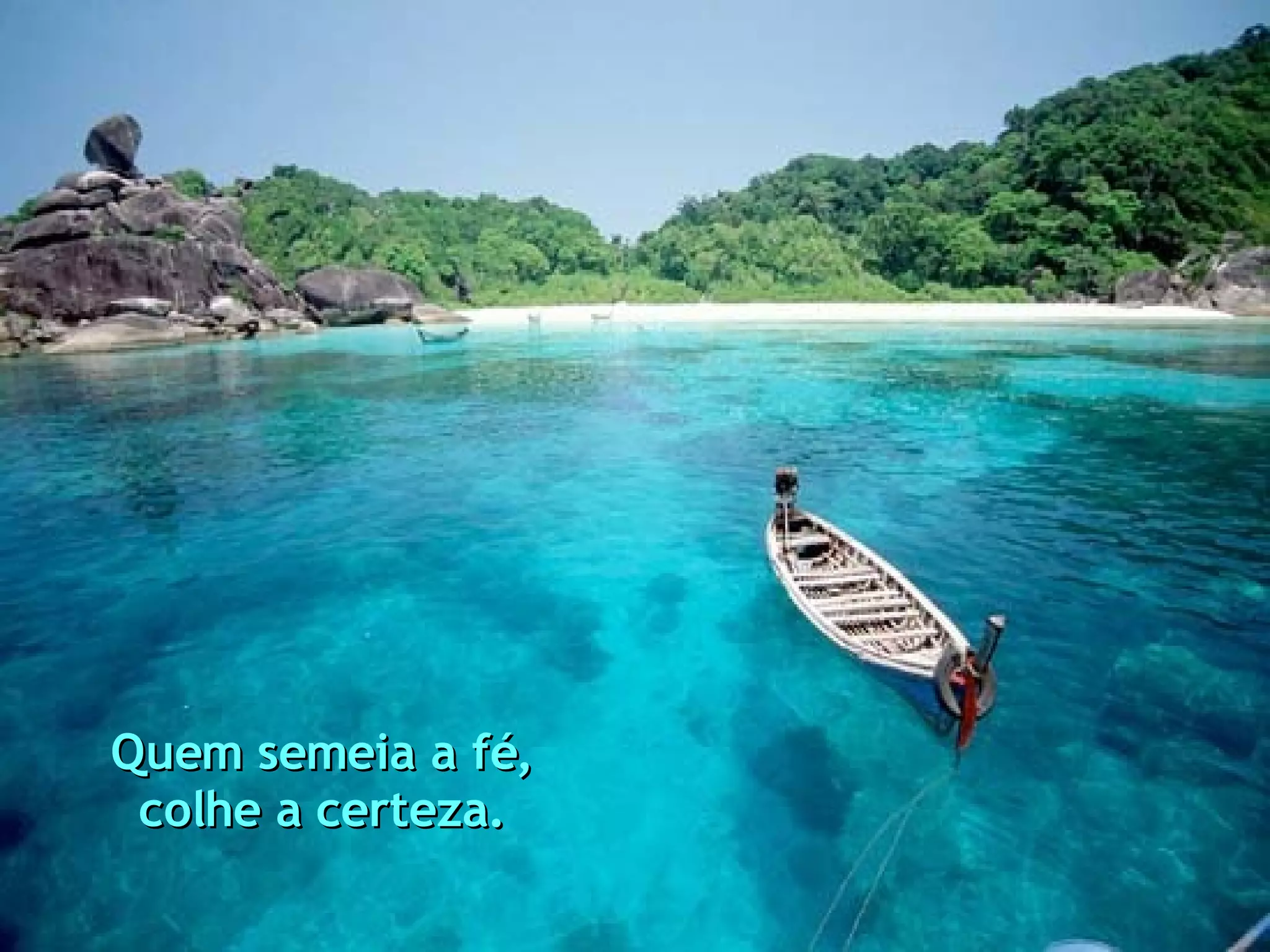 Quem semeia a fé, colhe a certeza. Quem semeia a fé, colhe a certeza.