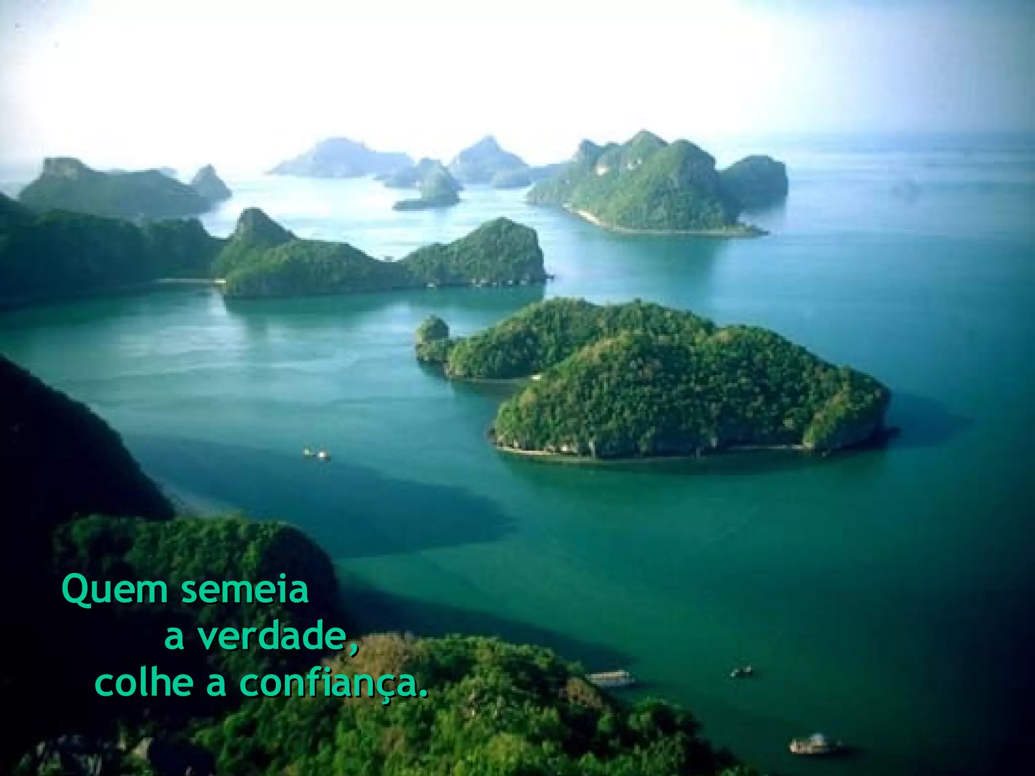 Quem semeia a verdade, colhe a confiança.