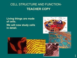 TEACHER COPY ,[object Object],[object Object],CELL STRUCTURE AND FUNCTION- 
