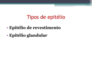 Tipos de epitélio
• Epitélio de revestimento
• Epitélio glandular
 
