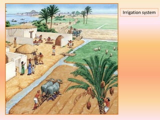 Ancient Mesopotamian Irrigation Systems