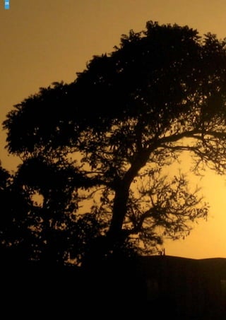 26




     Greater Amman Municipality – The Amman Plan - Urban Envelope Implementation – December 2010
 