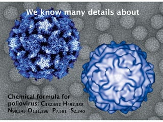 We know many details about




Chemical formula for
poliovirus: C332,652 H492,388
N98,245 O131,196 P7,501 S2,340
 