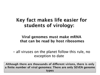 Key fact makes life easier for
           students of virology:

           Viral genomes must make mRNA
          that can be read by host ribosomes


     - all viruses on the planet follow this rule, no
                   exception to date

Although there are thousands of different virions, there is only
a ﬁnite number of viral genomes: There are only SEVEN genome
                            types
 