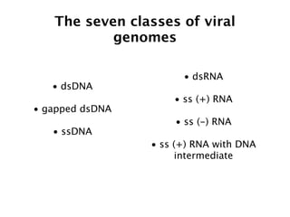 The seven classes of viral
           genomes

                       • dsRNA
   • dsDNA
                     • ss (+) RNA
• gapped dsDNA
                     • ss (-) RNA
   • ssDNA
                 • ss (+) RNA with DNA
                       intermediate
 