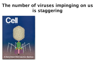 The number of viruses impinging on us
           is staggering
 