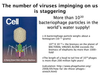 The number of viruses impinging on us
           is staggering
                     More than 1030
              bacteriophage particles in the
                  world’s water supply!
               • A bacteriophage particle weighs about a
               femtogram (10-15 grams)

                    1030 X 10-15= the biomass on the planet of
                    BACTERIAL VIRUSES ALONE exceeds the
                    biomass of elephants by more than 1000-
                    fold!

               •The length of a head to tail line of 1030 phages
               is more than 200 million light years!

               (calculation: http://www.phagehunter.org/
               2008/09/how-far-do-those-phages-
               stretch.html)
 
