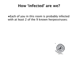 How ‘infected’ are we?

•Each of you in this room is probably infected
with at least 2 of the 9 known herpesviruses:
 