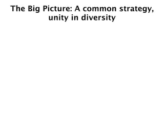 The Big Picture: A common strategy,
         unity in diversity
 