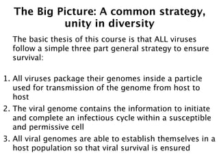 The Big Picture: A common strategy,
           unity in diversity
  The basic thesis of this course is that ALL viruses
  follow a simple three part general strategy to ensure
  survival:

1. All viruses package their genomes inside a particle
   used for transmission of the genome from host to
   host
2. The viral genome contains the information to initiate
   and complete an infectious cycle within a susceptible
   and permissive cell
3. All viral genomes are able to establish themselves in a
   host population so that viral survival is ensured
 