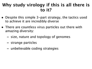 Why study virology if this is all there is
                to it?
•   Despite this simple 3-part strategy, the tactics used
    to achieve it are incredibly diverse
•   There are countless virus particles out there with
    amazing diversity:
    -   size, nature and topology of genomes
    -   strange particles
    -   unbelievable coding strategies
 