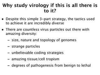 Why study virology if this is all there is
                to it?
•   Despite this simple 3-part strategy, the tactics used
    to achieve it are incredibly diverse
•   There are countless virus particles out there with
    amazing diversity:
    -   size, nature and topology of genomes
    -   strange particles
    -   unbelievable coding strategies
    -   amazing tissue/cell tropism
    -   degrees of pathogenesis from benign to lethal
 