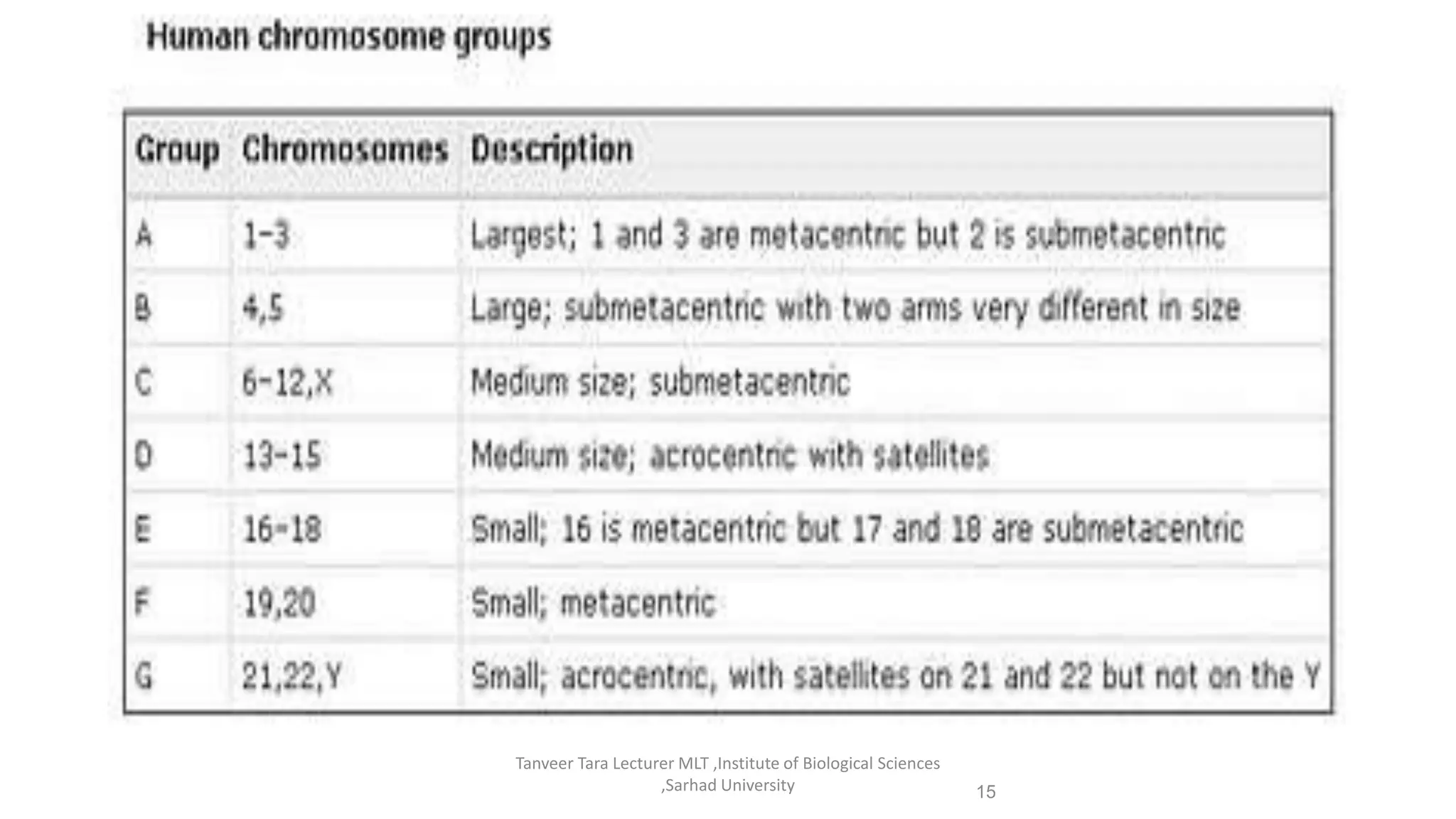 Tanveer Tara Lecturer MLT ,Institute of Biological Sciences
,Sarhad University 15
 