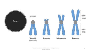 Types
Tanveer Tara Lecturer MLT ,Institute of Biological Sciences
,Sarhad University
14
 