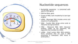 Nucleotide sequences
• Nucleotide sequences is concerned with
specific RNA (gene)
• DNA has Many gene.
• 4 types of RNA, each encoded by its own type
of gene:
• mRNA - Messenger RNA: Encodes amino acid
sequence of a polypeptide.
• tRNA - Transfer RNA: Brings amino acids to
ribosomes during translation.
• rRNA - Ribosomal RNA: With ribosomal
proteins, makes up the ribosomes, the
organelles that translate the mRNA.
• snRNA - Small nuclear RNA: With proteins,
forms complexes that are used in RNA
processing in eukaryotes. (Not found in
prokaryotes.)
Tanveer Tara Lecturer MLT ,Institute of Biological Sciences
,Sarhad University
19
 