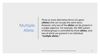 Multiple
Allele.
Three or more alternative forms of a gene
(alleles) that can occupy the same locus.
However, only two of the alleles can be present in
a single organism. For example, the ABO system
of blood groups is controlled by three alleles, only
two of which are present in an individual.
"multiple alleles."
 