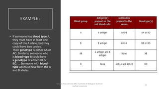 EXAMPLE :
• If someone has blood type A,
they must have at least one
copy of the A allele, but they
could have two copies.
Their genotype is either AA or
AO. Similarly, someone who
is blood type B could have
a genotype of either BB or
BO. ... Someone with blood
type AB must have both the A
and B alleles.
Tanveer Tara Lecturer MLT ,Institute of Biological Sciences
,Sarhad University
33
 