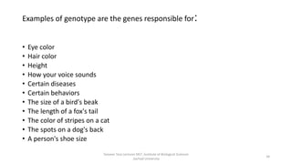 Examples of genotype are the genes responsible for:
• Eye color
• Hair color
• Height
• How your voice sounds
• Certain diseases
• Certain behaviors
• The size of a bird's beak
• The length of a fox's tail
• The color of stripes on a cat
• The spots on a dog's back
• A person's shoe size
Tanveer Tara Lecturer MLT ,Institute of Biological Sciences
,Sarhad University
34
 