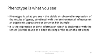 Phenotype is what you see
• Phenotype is what you see - the visible or observable expression of
the results of genes, combined with the environmental influence on
an organism's appearance or behavior. For example:
• It is the expression of gene information which is observable with the
senses (like the sound of a bird's chirping or the color of a cat's hair)
Tanveer Tara Lecturer MLT ,Institute of Biological Sciences
,Sarhad University
36
 