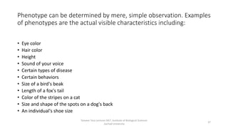 Phenotype can be determined by mere, simple observation. Examples
of phenotypes are the actual visible characteristics including:
• Eye color
• Hair color
• Height
• Sound of your voice
• Certain types of disease
• Certain behaviors
• Size of a bird's beak
• Length of a fox's tail
• Color of the stripes on a cat
• Size and shape of the spots on a dog's back
• An individual's shoe size
Tanveer Tara Lecturer MLT ,Institute of Biological Sciences
,Sarhad University
37
 