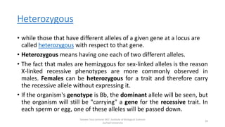 Heterozygous
• while those that have different alleles of a given gene at a locus are
called heterozygous with respect to that gene.
• Heterozygous means having one each of two different alleles.
• The fact that males are hemizygous for sex-linked alleles is the reason
X-linked recessive phenotypes are more commonly observed in
males. Females can be heterozygous for a trait and therefore carry
the recessive allele without expressing it.
• If the organism's genotype is Bb, the dominant allele will be seen, but
the organism will still be "carrying" a gene for the recessive trait. In
each sperm or egg, one of these alleles will be passed down.
Tanveer Tara Lecturer MLT ,Institute of Biological Sciences
,Sarhad University
39
 