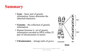 Summary
• Gene – basic unit of genetic
information. Genes determine the
inherited characters.
• Genome – the collection of genetic
information.
• Human Genome is set of genetic
information encoded as DNA within 23
pair of chromosomes in nuclei.
• Chromosomes – storage units of genes.
Tanveer Tara Lecturer MLT ,Institute of Biological Sciences
,Sarhad University 42
 