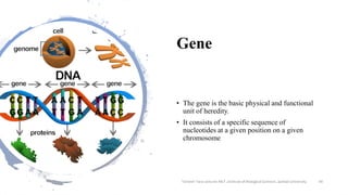Gene
• The gene is the basic physical and functional
unit of heredity.
• It consists of a specific sequence of
nucleotides at a given position on a given
chromosome
Tanveer Tara Lecturer MLT ,Institute of Biological Sciences ,Sarhad University 44
 