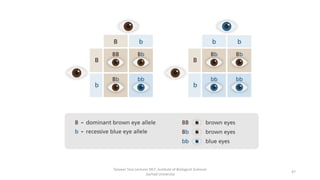 Tanveer Tara Lecturer MLT ,Institute of Biological Sciences
,Sarhad University
47
 