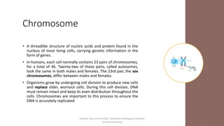 Chromosome
• A threadlike structure of nucleic acids and protein found in the
nucleus of most living cells, carrying genetic information in the
form of genes.
• In humans, each cell normally contains 23 pairs of chromosomes,
for a total of 46. Twenty-two of these pairs, called autosomes,
look the same in both males and females. The 23rd pair, the sex
chromosomes, differ between males and females.
• Organisms grow by undergoing cell division to produce new cells
and replace older, wornout cells. During this cell division, DNA
must remain intact and keep its even distribution throughout the
cells. Chromosomes are important to this process to ensure the
DNA is accurately replicated.
Tanveer Tara Lecturer MLT ,Institute of Biological Sciences
,Sarhad University
8
 