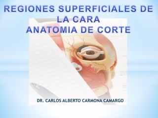 DR. CARLOS ALBERTO CARMONA CAMARGO
 