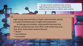 002. Biochemical Theories Of Aging: Roles of metabolic rate and ...