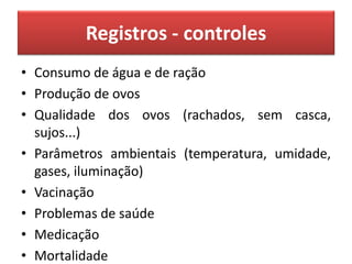 Registros - controles
• Consumo de água e de ração
• Produção de ovos
• Qualidade dos ovos (rachados, sem casca,
sujos...)
• Parâmetros ambientais (temperatura, umidade,
gases, iluminação)
• Vacinação
• Problemas de saúde
• Medicação
• Mortalidade
 