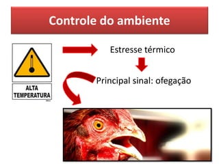 Controle do ambiente
Estresse térmico
Principal sinal: ofegação
 