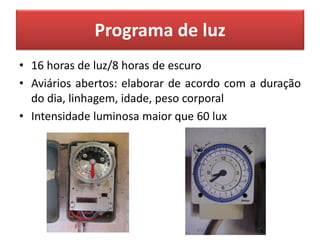 Programa de luz
• 16 horas de luz/8 horas de escuro
• Aviários abertos: elaborar de acordo com a duração
do dia, linhagem, idade, peso corporal
• Intensidade luminosa maior que 60 lux
 