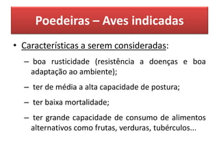 Poedeiras – Aves indicadas
• Características a serem consideradas:
– boa rusticidade (resistência a doenças e boa
adaptação ao ambiente);
– ter de média a alta capacidade de postura;
– ter baixa mortalidade;
– ter grande capacidade de consumo de alimentos
alternativos como frutas, verduras, tubérculos...
 