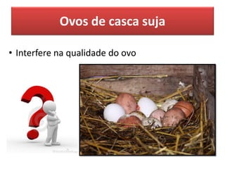 Ovos de casca suja
• Interfere na qualidade do ovo
 