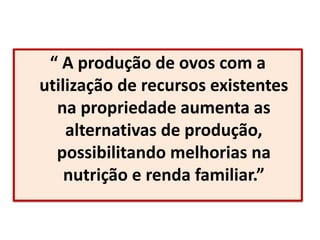 “ A produção de ovos com a
utilização de recursos existentes
na propriedade aumenta as
alternativas de produção,
possibilitando melhorias na
nutrição e renda familiar.”
 