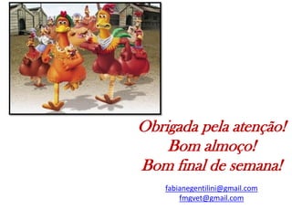 Obrigada pela atenção!
Bom almoço!
Bom final de semana!
fabianegentilini@gmail.com
fmgvet@gmail.com
 