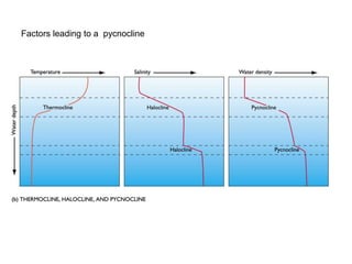 002 characteristics of ocean water | PPTX