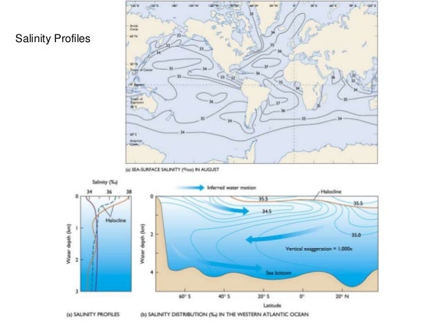 Characteristics Of Ocean Water Worksheet Answers - Worksheet List