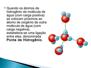  Quando  os átomos de
 hidrogênio da molécula de
 água (com carga positiva)
 se colocam próximos ao
 átomo de oxigênio de outra
 molécula de água (com
 carga negativa),
 estabelece-se uma ligação
 entre eles, denominada
 Ponte de Hidrogênio .
 