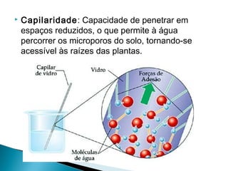    Capilaridade: Capacidade de penetrar em
    espaços reduzidos, o que permite à água
    percorrer os microporos do solo, tornando-se
    acessível às raízes das plantas.
 