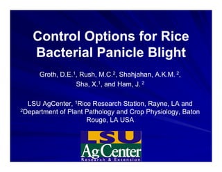 Control Options for Rice
   C t l O ti      f Ri
   Bacterial Panicle Blight
      Groth D E 1, Rush M C 2, Shahjahan A K M 2,
      Groth, D.E. Rush, M.C. Shahjahan, A.K.M.
                 Sha, X.1, and Ham, J. 2

  LSU AgCenter, 1Rice Research Station, Rayne, LA and
2Department of Plant Pathology and Crop Physiology, Baton

                     Rouge,
                     Ro ge LA USA
 