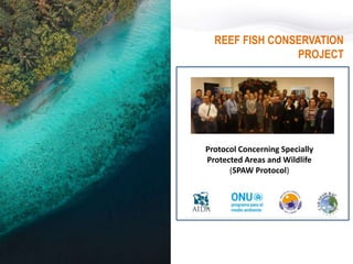REEF FISH CONSERVATION
PROJECT
MÉXICO
GUATEMALA
HONDURAS
COSTA RICA
PANAMÁ
COLOMBIA
Protocol Concerning Specially
Protecte...