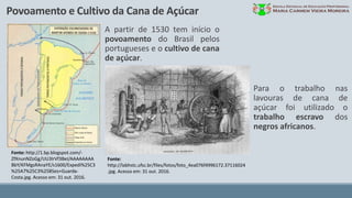 Povoamento e Cultivo da Cana de Açúcar
Fonte: http://1.bp.blogspot.com/-
ZfXnunNZoGg/UU3lrVf3BeI/AAAAAAAA
BbY/KFMgsRAnaYE/s1600/Expedi%25C3
%25A7%25C3%25B5es+Guarda-
Costa.jpg. Acesso em: 31 out. 2016.
A partir de 1530 tem início o
povoamento do Brasil pelos
portugueses e o cultivo de cana
de açúcar.
Fonte:
http://labhstc.ufsc.br/files/fotos/foto_4ea076f4996172.37116024
.jpg. Acesso em: 31 out. 2016.
Para o trabalho nas
lavouras de cana de
açúcar foi utilizado o
trabalho escravo dos
negros africanos.
 