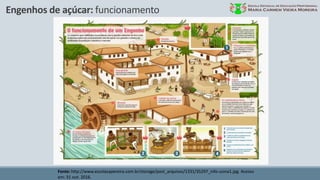 Engenhos de açúcar: funcionamento
Fonte: http://www.escolasapereira.com.br/storage/post_arquivos/1331/35297_info-usina1.jpg. Acesso
em: 31 out. 2016.
 