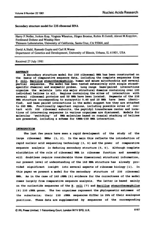 Volume 9 Number 22 1981 Nucleic Acids Research
Secondary structure model for 23S ribosomal RNA
Harry F.Noller, JoAnn Kop, Virginia Wheaton, Jiirgen Brosius, Robin R.Gutell, Alexei M.Kopylov,
Ferdinand Dohme and Winship Herr
Thimann Laboratories, University of California, Santa Cruz, CA 95064, and
David A.Stahl, Ramesh Gupta and Carl R.Woese
Department of Genetics and Development, University of Illinois, Urbana, IL 61801, USA
Received 27 July 1981
ABSTRACT
A secondary structure model for 23s ribosomal RNA has been constructed on
the basis of comparative sequence data, including the complete sequences from
E. coli, Bacillus stearothermophilis, human and mouse sitochondria and several
partial sequences. The model has been tested extensively with single strand-
specific chemical and enzymatic probes. Long range base-paired interactions
organize the molecule into six major structural domains containing over 100
individual helices in all. Regions containing the sites of interaction with
several ribosomal proteins and 5S RNA have been located. Segments of the 23S
RNA structure corresponding to eucaryotic 5.8S and 2S RNA have been identi-
fied, and base paired interactions in the model suggest how they are attached
to 28S RNA. Functionally important regions, including possible sites of con-
tact with 30S ribosomal subunits, the peptidyl transferase center and loca-
tions of intervening sequences in various organisms are discussed. Models for
molecular 'switching' of RA molecules based on coaxial stacking of helices
are presented, including a scheme for tRNA-23S RMA interaction.
IWIRODUCTIOn
The last few years have seen a rapid development of the study of the
large ribosonal RNas (1, 2). In the main this reflects the introduction of
rapid nucleic acid sequencing technology (3, 4) and the power of comparative
sequence analysis in deducing secondary structure (5, 6). Although complete
elucidation of the role of ribosomal MMA in ribosome function and assembly
will doubtless require considerable three dimensional structural information,
our present level of understanding of the 16S INA structure has already pro-
vided significant insight into several aspects of ribosome biology (1). In
this paper we present a model for the secondary structure of 23S ribosomal
MMl. As in the case of 16S rRNA (6) evidence for the correctness of the model
comes largely from comparative sequence analysis. The latter is based mainly
on the nucleotide sequences of the E. coli (7) and Bacillus stearothermophilus
(8) 23S rRNA genes. The two organisms represent the phylogenetic extremes of
the eubacteria; their 23S rENA sequences differ in 26% of their analogous
positions. These data are supplemented by sequences of the corresponding
© IRL Press Umited, 1 Falconberg Court, London W1V 5FG, U.K. 6167
 