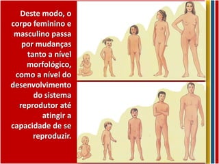Deste modo, o
corpo feminino e
 masculino passa
   por mudanças
    tanto a nível
    morfológico,
 como a nível do
desenvolvimento
      do sistema
  reprodutor até
        atingir a
capacidade de se
      reproduzir.
 