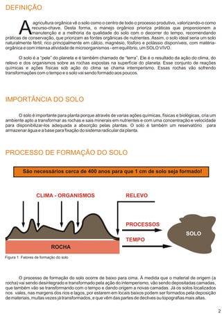 DEFINIÇÃO


       A
               agricultura orgânica vê o solo como o centro de todo o processo produtivo, valorizando-o como
              recurso-chave. Desta forma, o manejo orgânico prioriza práticas que proporcionem a
              manutenção e a melhoria da qualidade do solo com o decorrer do tempo, recomendando
práticas de conservação, que priorizam as fontes orgânicas de nutrientes. Assim, o solo ideal seria um solo
naturalmente fértil, rico principalmente em cálcio, magnésio, fósforo e potássio disponíveis, com matéria-
orgânica e com intensa atividade de microorganismos - em equilíbrio, um SOLO VIVO.

       O solo é a “pele” do planeta e é também chamado de “terra”. Ele é o resultado da ação do clima, do
relevo e dos organismos sobre as rochas expostas na superfície do planeta. Esse conjunto de reações
químicas e ações físicas sob ação do clima se chama intemperismo. Essas rochas vão sofrendo
transformações com o tempo e o solo vai sendo formado aos poucos.




IMPORTÂNCIA DO SOLO

      O solo é importante para planta porque através de varias ações químicas, físicas e biológicas, cria um
ambiente apto a transformar as rochas e sais minerais em nutrientes e com uma concentração e velocidade
para disponibilizar-los adequada a absorção pelas plantas. O solo é também um reservatório para
armazenar água e a base para fixação do sistema radicular da planta.




PROCESSO DE FORMAÇÃO DO SOLO

          São necessários cerca de 400 anos para que 1 cm de solo seja formado!



                 CLIMA - ORGANISMOS                          RELEVO




                                                             PROCESSOS
                                                                                            SOLO
                                                             TEMPO
                          ROCHA
Figura 1 Fatores de formação do solo




       O processo de formação do solo ocorre de baixo para cima. À medida que o material de origem (a
rocha) vai sendo desintegrado e transformado pela ação do intemperismo, vão sendo depositadas camadas,
que também vão se transformando com o tempo e dando origem a novas camadas. Já os solos localizados
nos vales, nas margens dos rios e lagos, por estarem em locais baixos podem ser formados pela deposição
de materiais, muitas vezes já transformados, e que vêm das partes de declives ou topografias mais altas.

                                                                                                               2
 