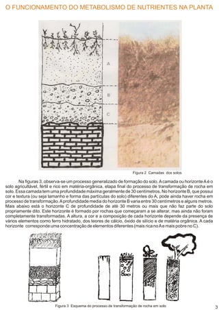 O FUNCIONAMENTO DO METABOLISMO DE NUTRIENTES NA PLANTA




                                                                    Figura 2 Camadas dos solos

       Na figuras 3, observa-se um processo generalizado de formação do solo. A camada ou horizonte A é o
solo agricultável, fértil e rico em matéria-orgânica, etapa final do processo de transformação de rocha em
solo. Essa camada tem uma profundidade máxima geralmente de 30 centímetros. No horizonte B, que possui
cor e textura (ou seja tamanho e forma das partículas do solo) diferentes do A, pode ainda haver rocha em
processo de transformação. A profundidade media do horizonte B varia entre 30 centímetros e alguns metros.
Mais abaixo está o horizonte C de profundidade de até 30 metros ou mais que não faz parte do solo
propriamente dito. Este horizonte é formado por rochas que começaram a se alterar, mas ainda não foram
completamente transformadas. A altura, a cor e a composição de cada horizonte depende da presença de
vários elementos como ferro hidratado, dos teores de cálcio, óxido de silício e de matéria orgânica. A cada
horizonte corresponde uma concentração de elementos diferentes (mais rica no A e mais pobre no C).




                         Figura 3 Esquema do processo de transformação de rocha em solo                       3
 